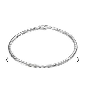 Sterling Silver Snake Chain Bracelet